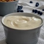 How to make Yogurt using an Instant Pot?